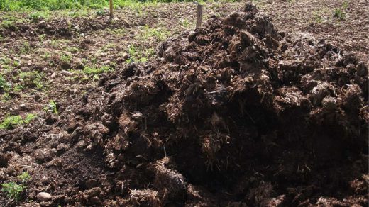 organic manures