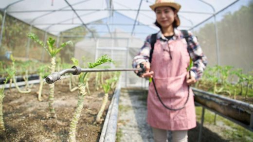 biofertilizers