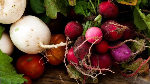 organic food