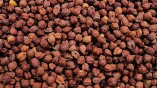 seed