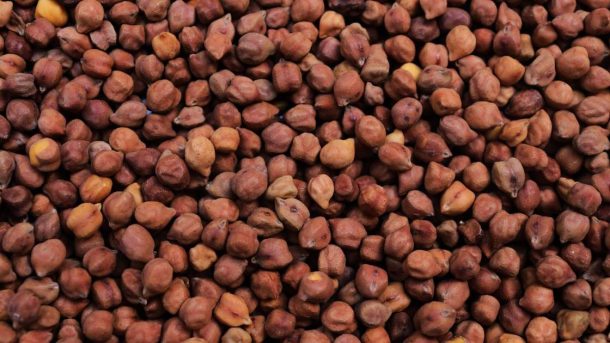 seed