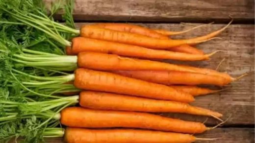 carrot