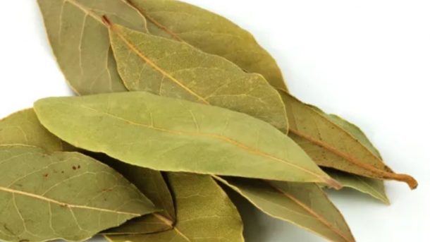 bay leaves