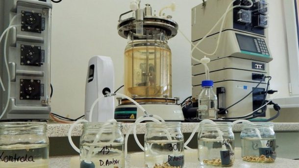 seed disinfestation