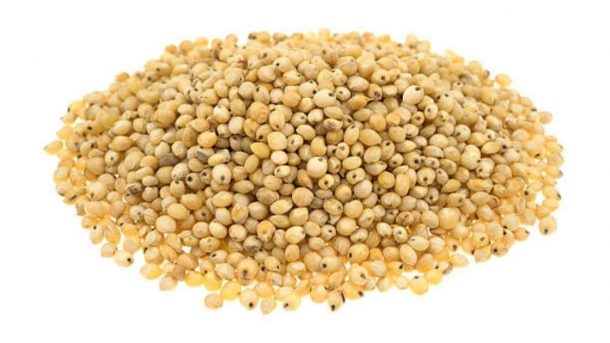 seed rate