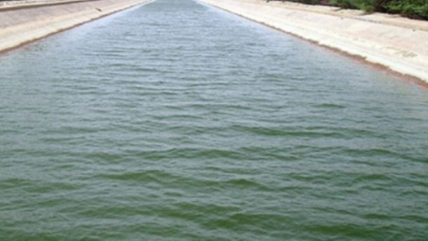 irrigation