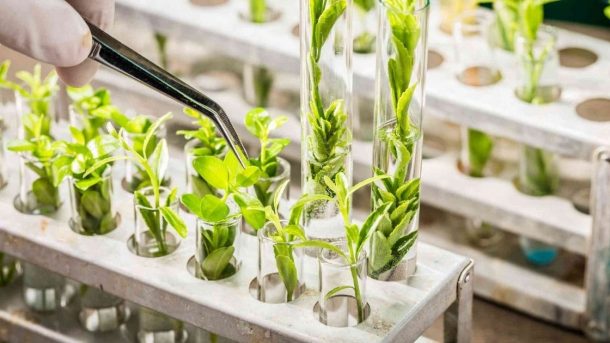 biotechnology