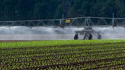 boom irrigation