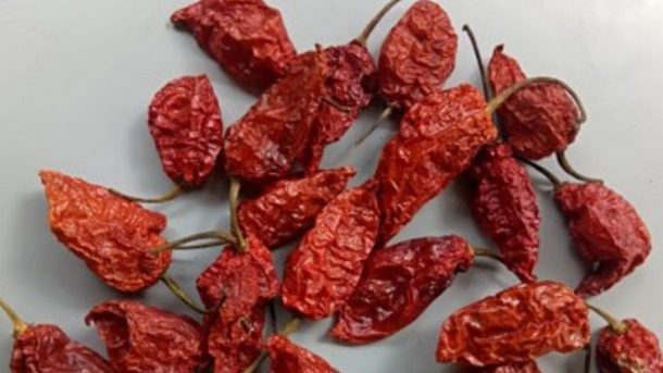 chilli
