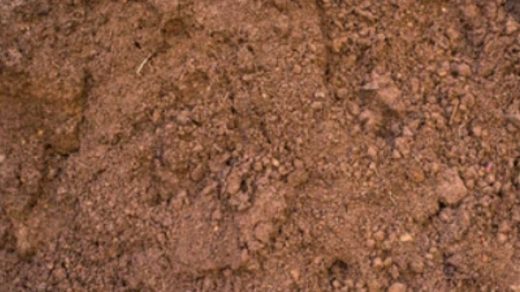 soil
