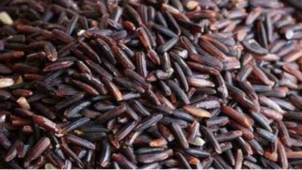 Black rice