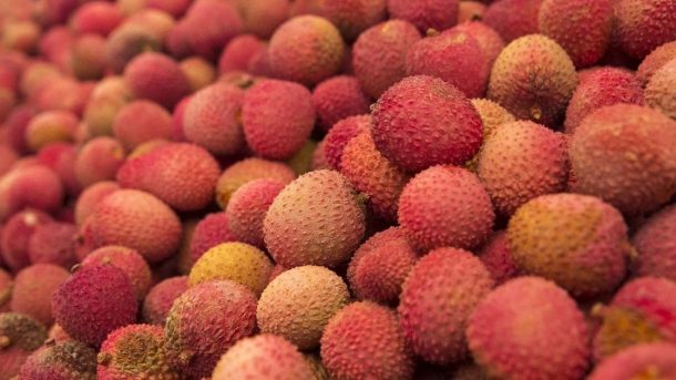 litchi