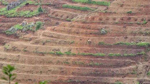 system