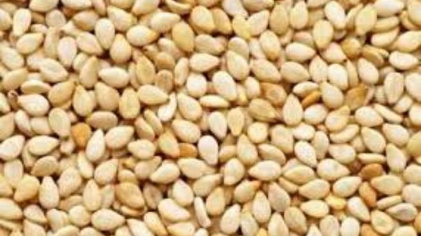 seed