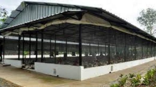 poultry house