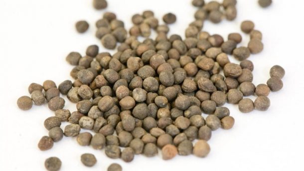 Seed rate