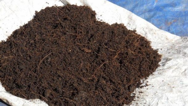 Coir pith