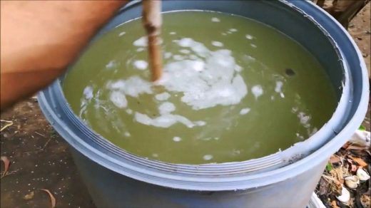 decomposer
