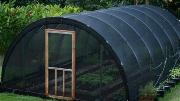 benefits of Shade house