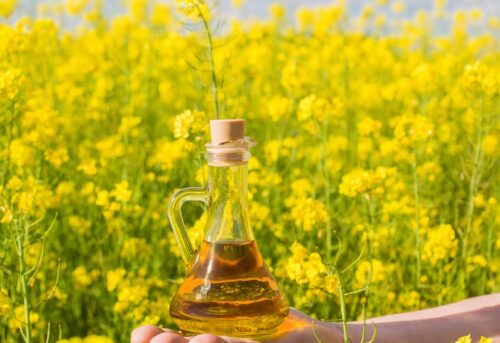 Vegetable oil