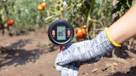 smart sensors