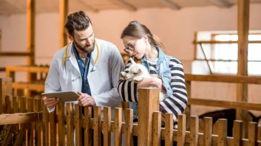 Livestock Insurance Scheme