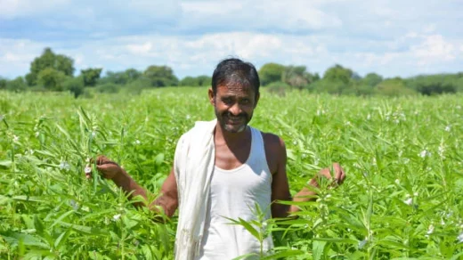 Krishi Vikas Yojana