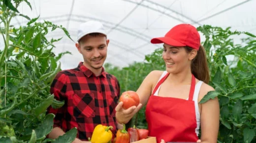 precision farming technologies