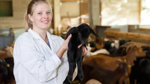 precision livestock farming