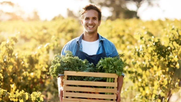 agribusiness development