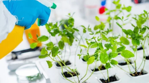advancements in agricultural