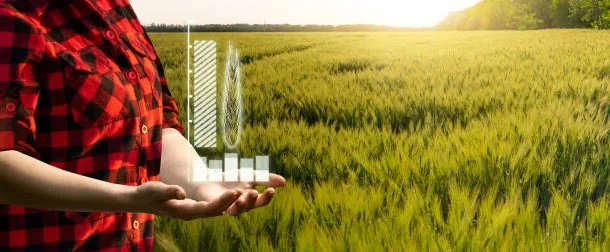 transitioning to organic farming