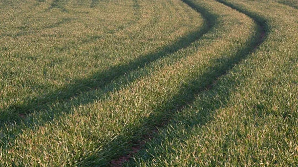 agricultural extension services