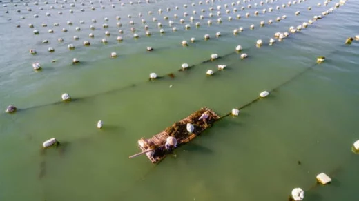 aquaculture