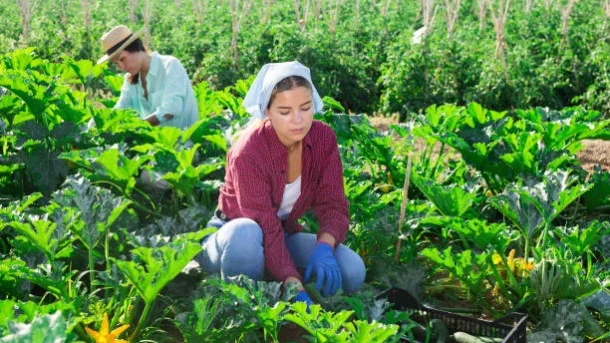 implementing sustainable