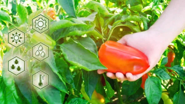 traceability