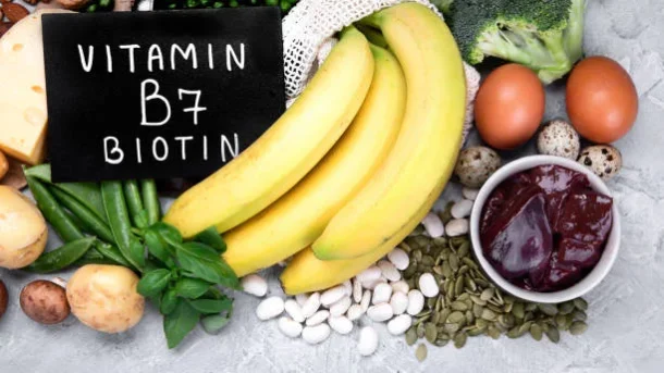 plant-based proteins