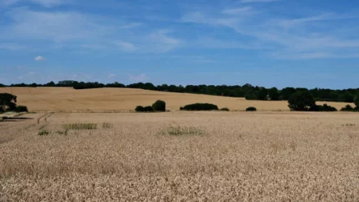 agroecology
