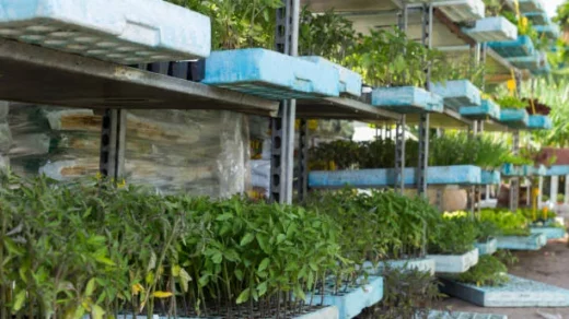 vertical farming