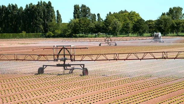 farmer producer organizations