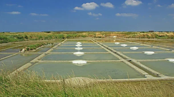 farm ponds and wells