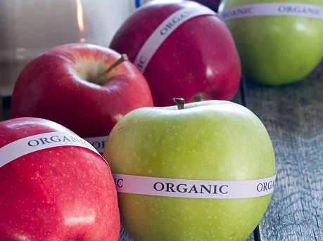 discussions