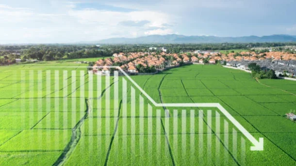 agricultural land