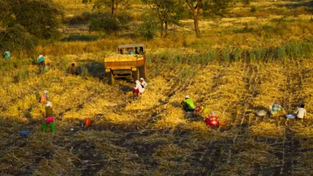 farming among tribal