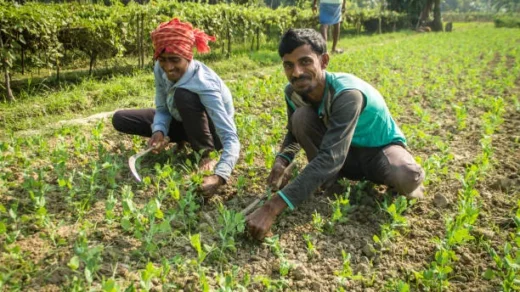 promoting organic farming