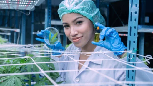 nanotechnology in agriculture
