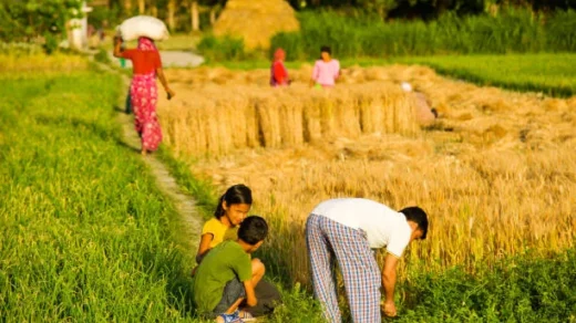 small and marginal farmers