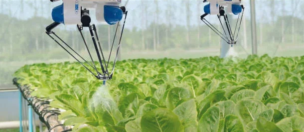 monitor crop health