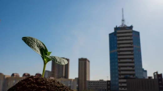 urban farming