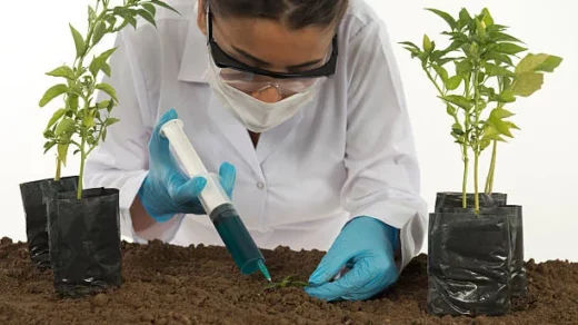 soil health